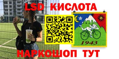 индика Заводоуковск