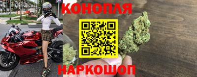 индика Заводоуковск