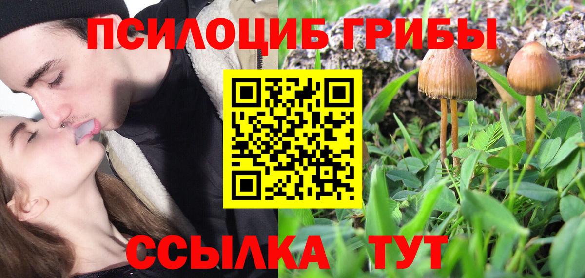 Галлюциногенные грибы Cubensis  Вход с VPN  Малоярославец 